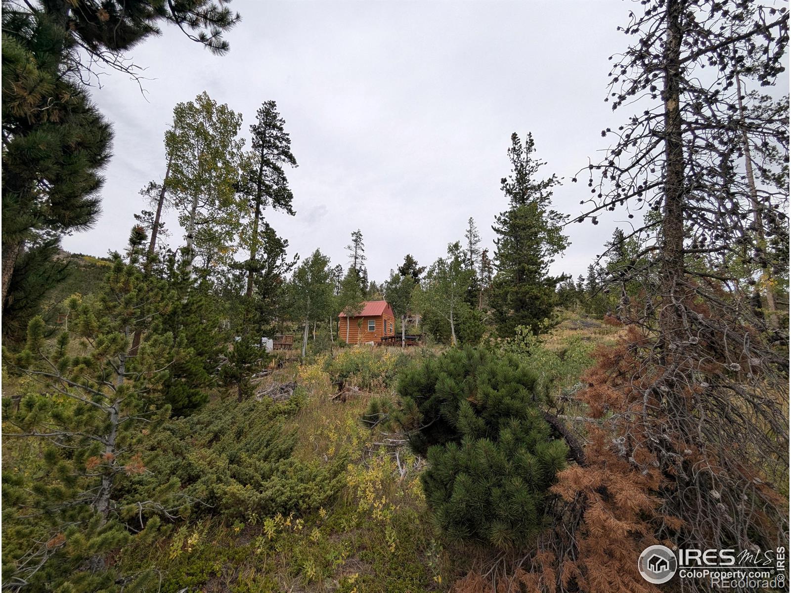 37 N Oneida Court Red Feather Lakes CO 80545