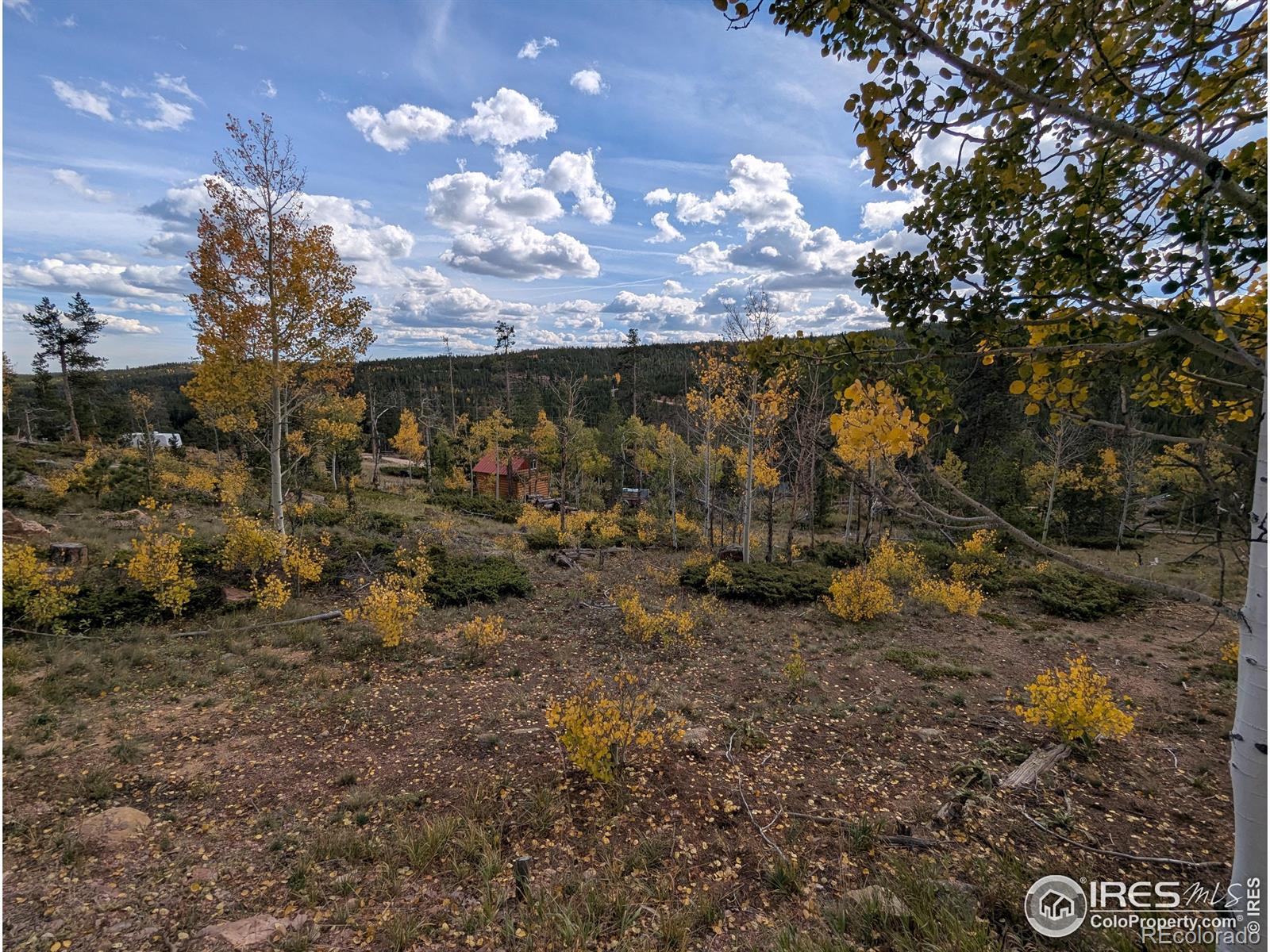 37 N Oneida Court Red Feather Lakes CO 80545