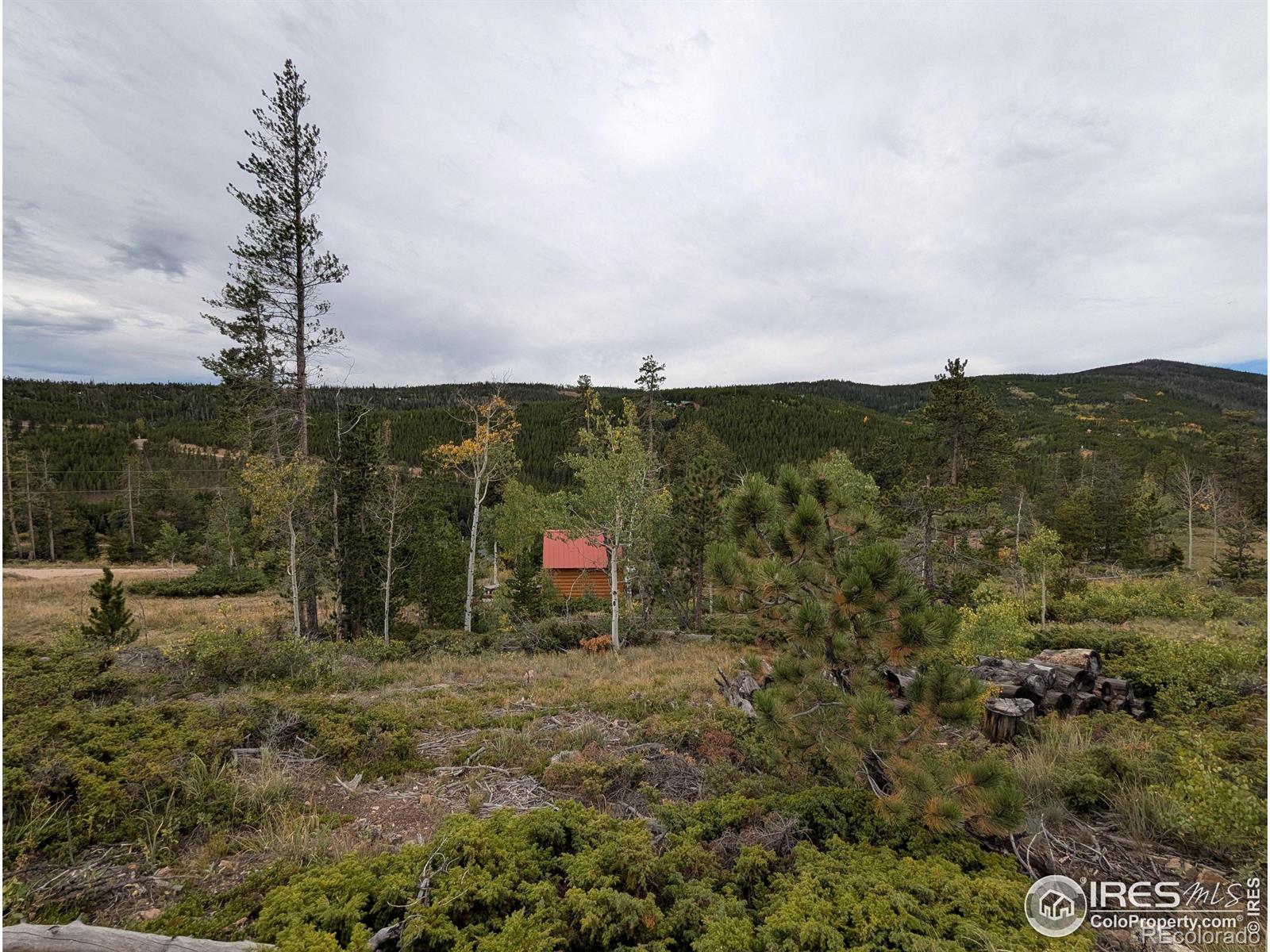 37 N Oneida Court Red Feather Lakes CO 80545