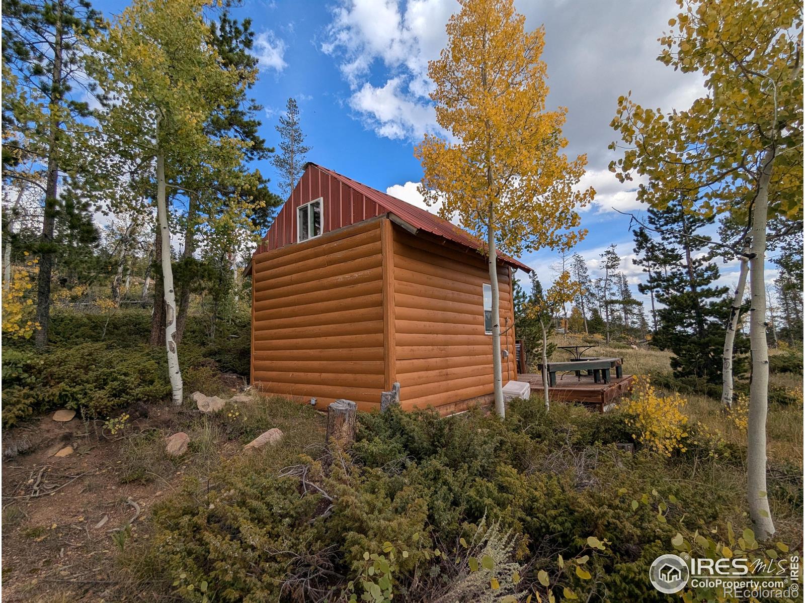 37 N Oneida Court Red Feather Lakes CO 80545
