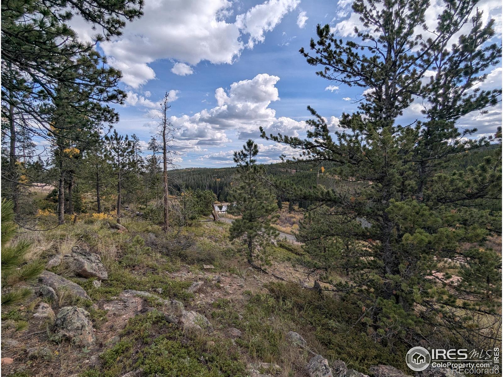 37 N Oneida Court Red Feather Lakes CO 80545