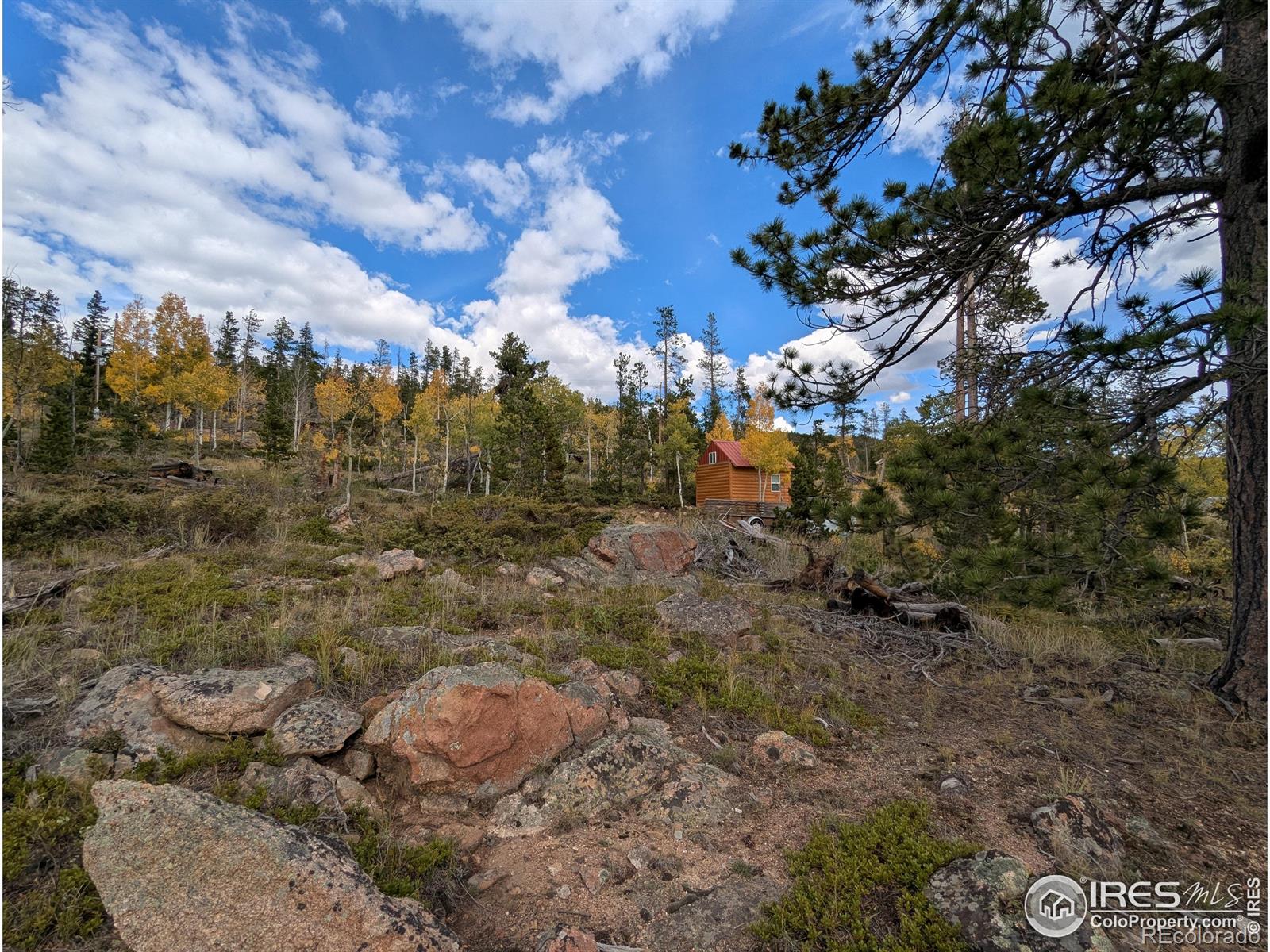 37 N Oneida Court Red Feather Lakes CO 80545