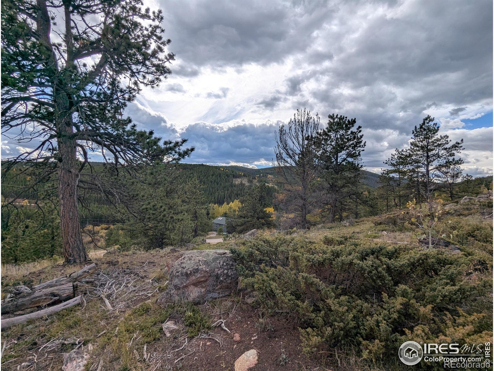 37 N Oneida Court Red Feather Lakes CO 80545