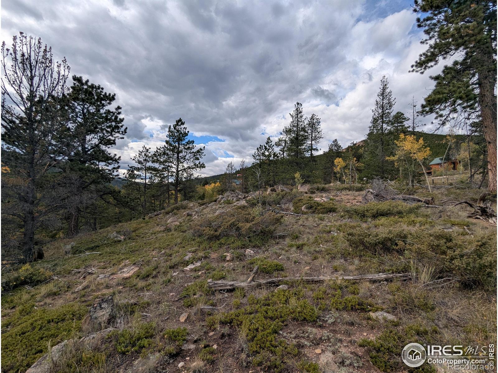 37 N Oneida Court Red Feather Lakes CO 80545