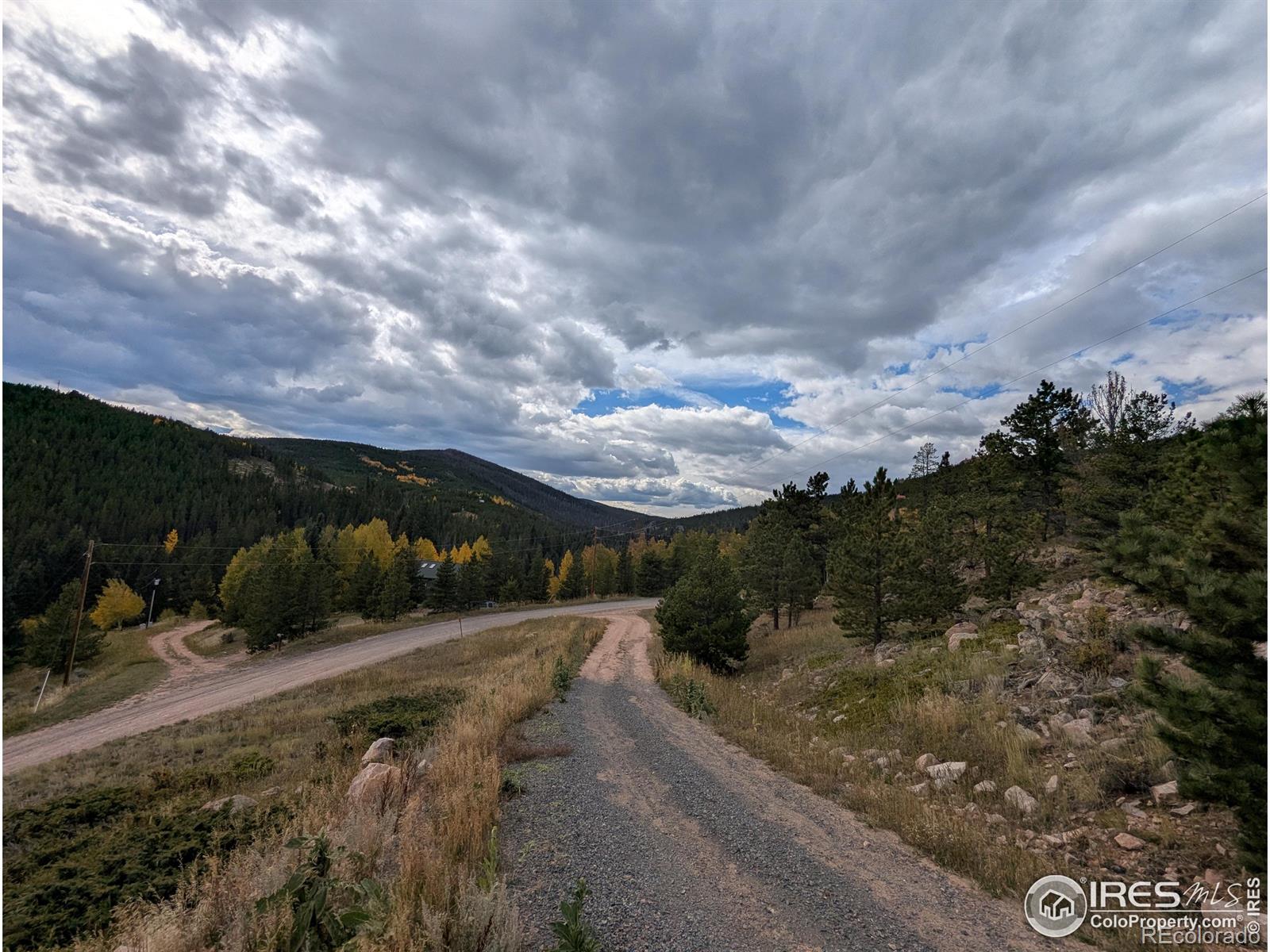 37 N Oneida Court Red Feather Lakes CO 80545
