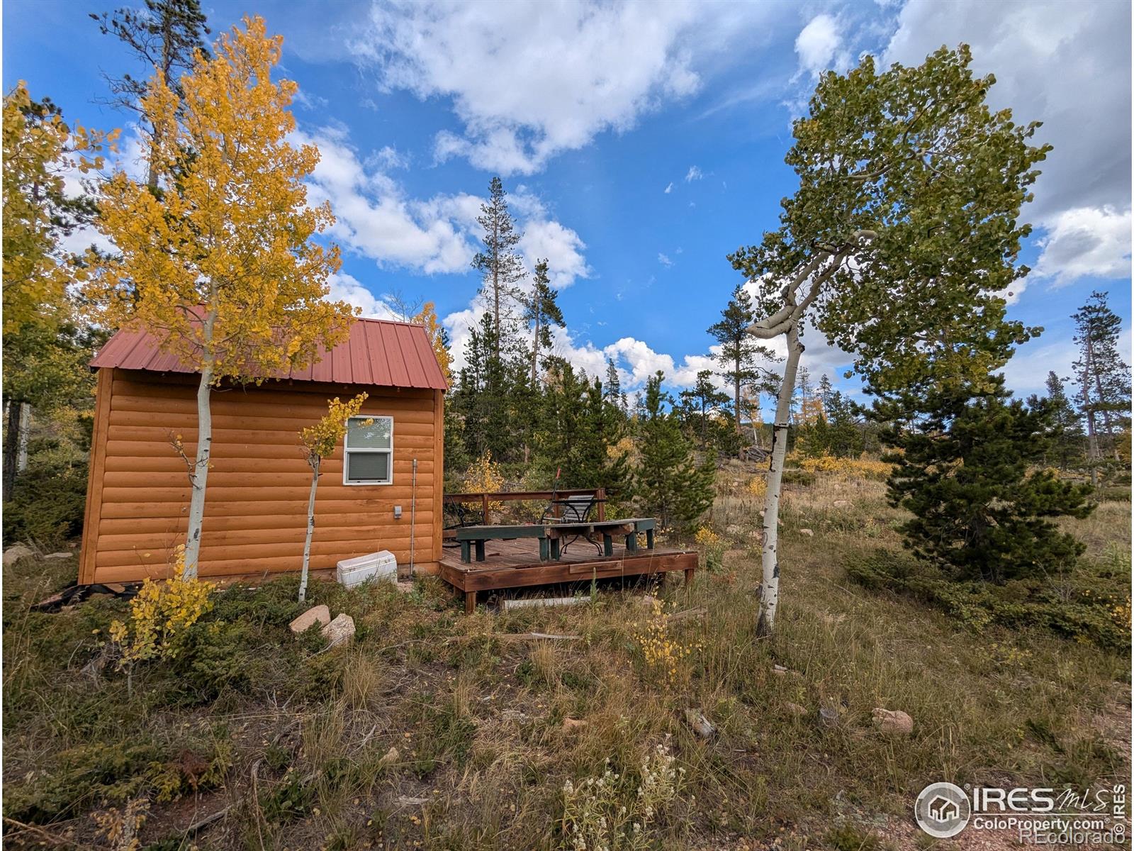 37 N Oneida Court Red Feather Lakes CO 80545