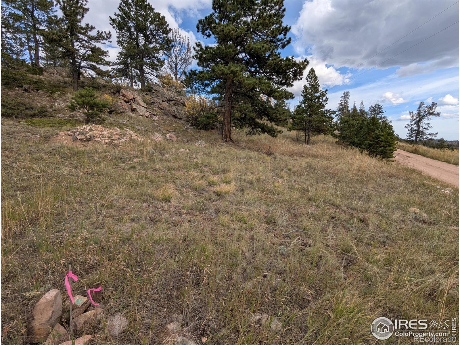 37 N Oneida Court Red Feather Lakes CO 80545