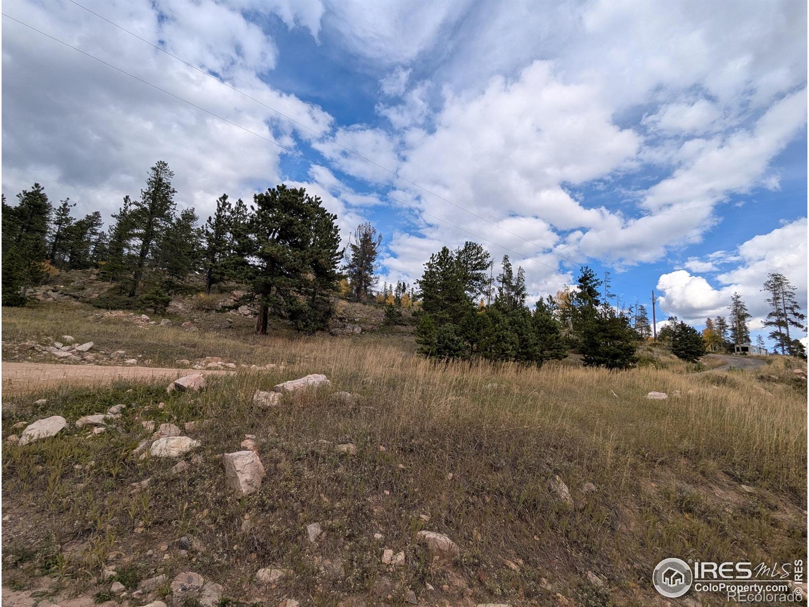37 N Oneida Court Red Feather Lakes CO 80545