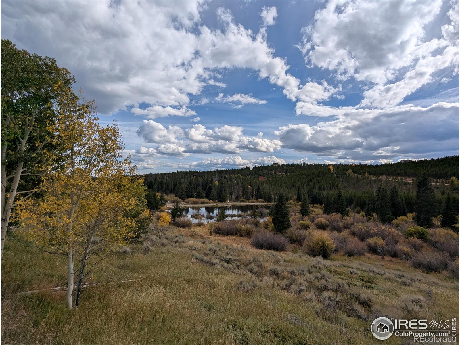 37 N Oneida Court Red Feather Lakes CO 80545