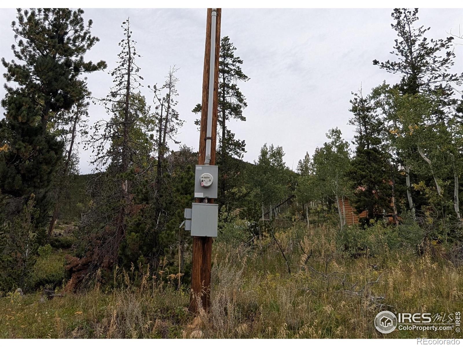 37 N Oneida Court Red Feather Lakes CO 80545