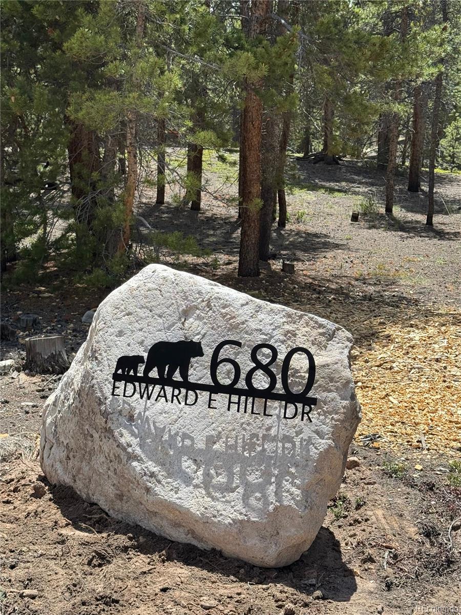 680 Edward East Hill Drive Twin Lakes CO 81251