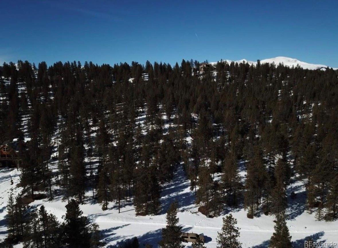 680 Edward East Hill Drive Twin Lakes CO 81251