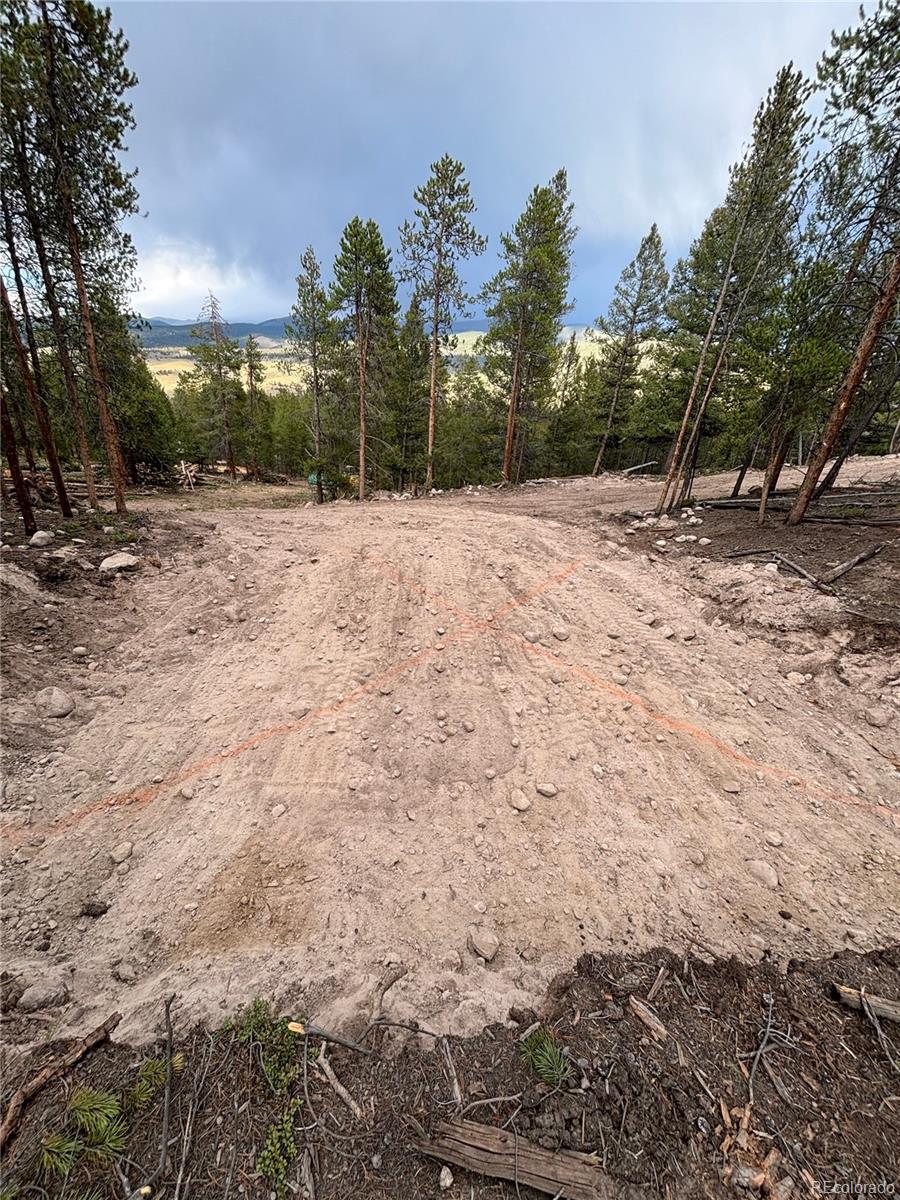 680 Edward East Hill Drive Twin Lakes CO 81251
