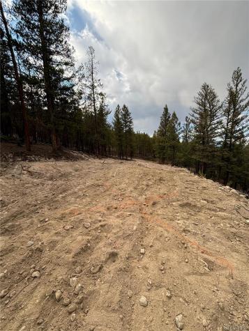 680 Edward East Hill Drive Twin Lakes CO 81251