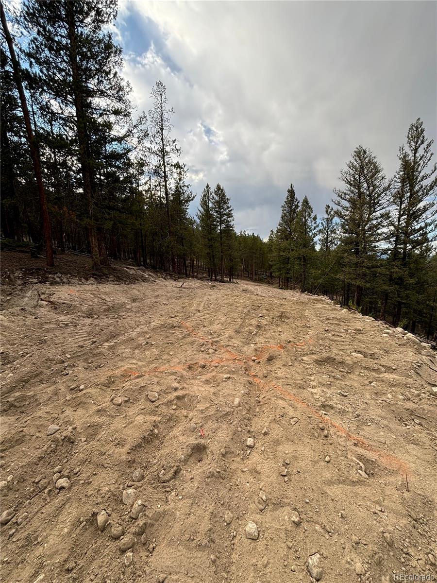 680 Edward East Hill Drive Twin Lakes CO 81251