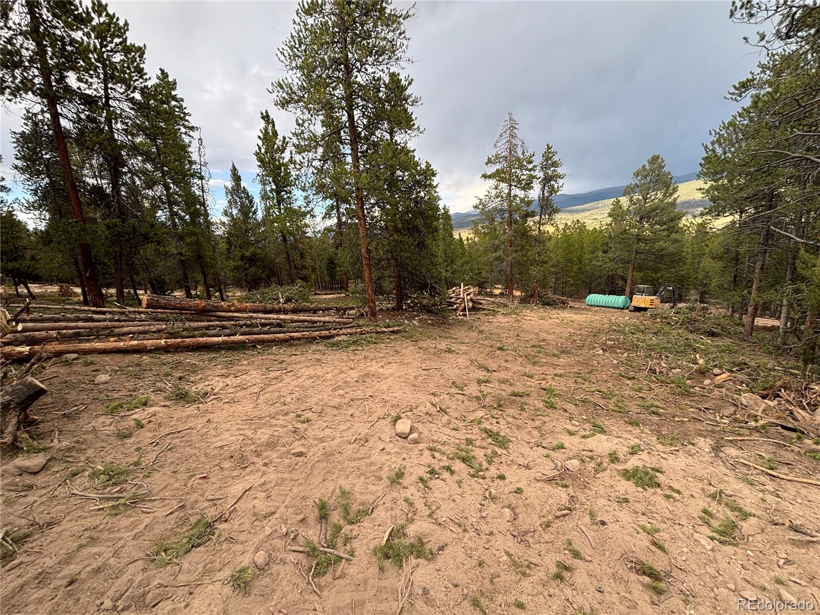 680 Edward East Hill Drive Twin Lakes CO 81251