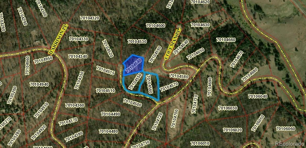 549-551 Drevs Place Fort Garland CO 81133