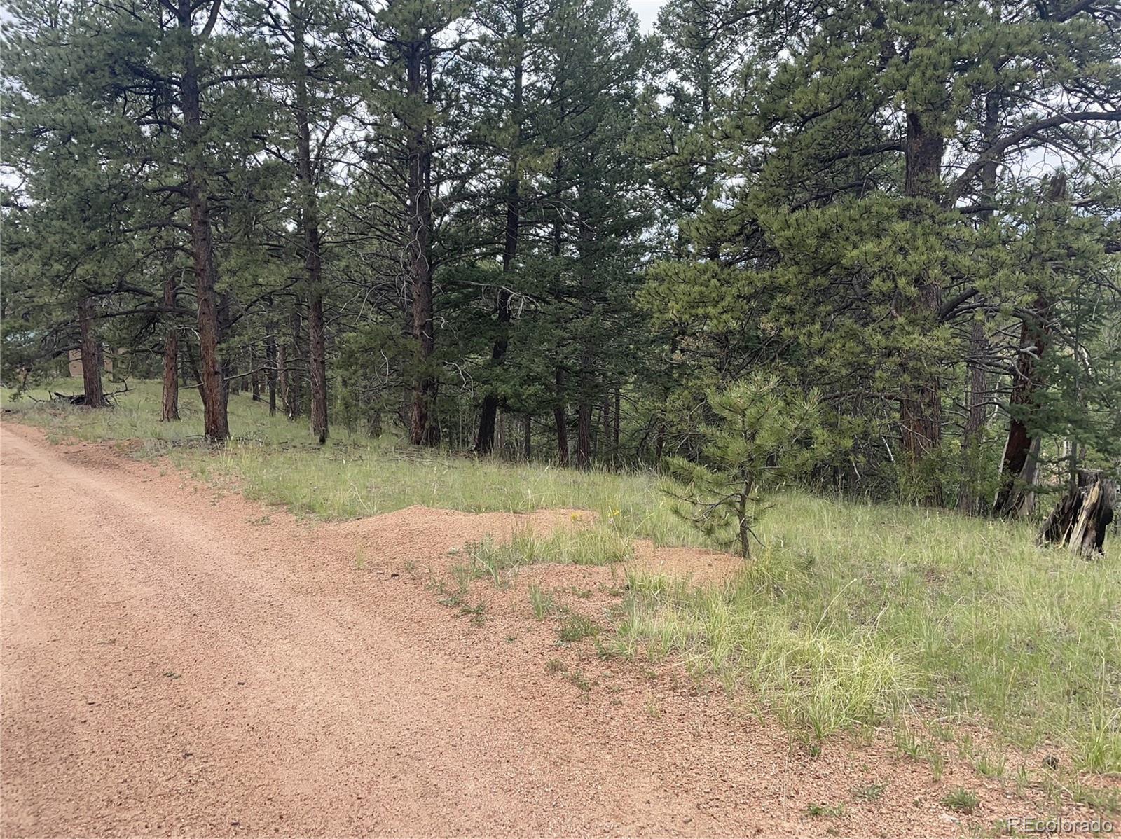 452 Wilson Drive Florissant CO 80816