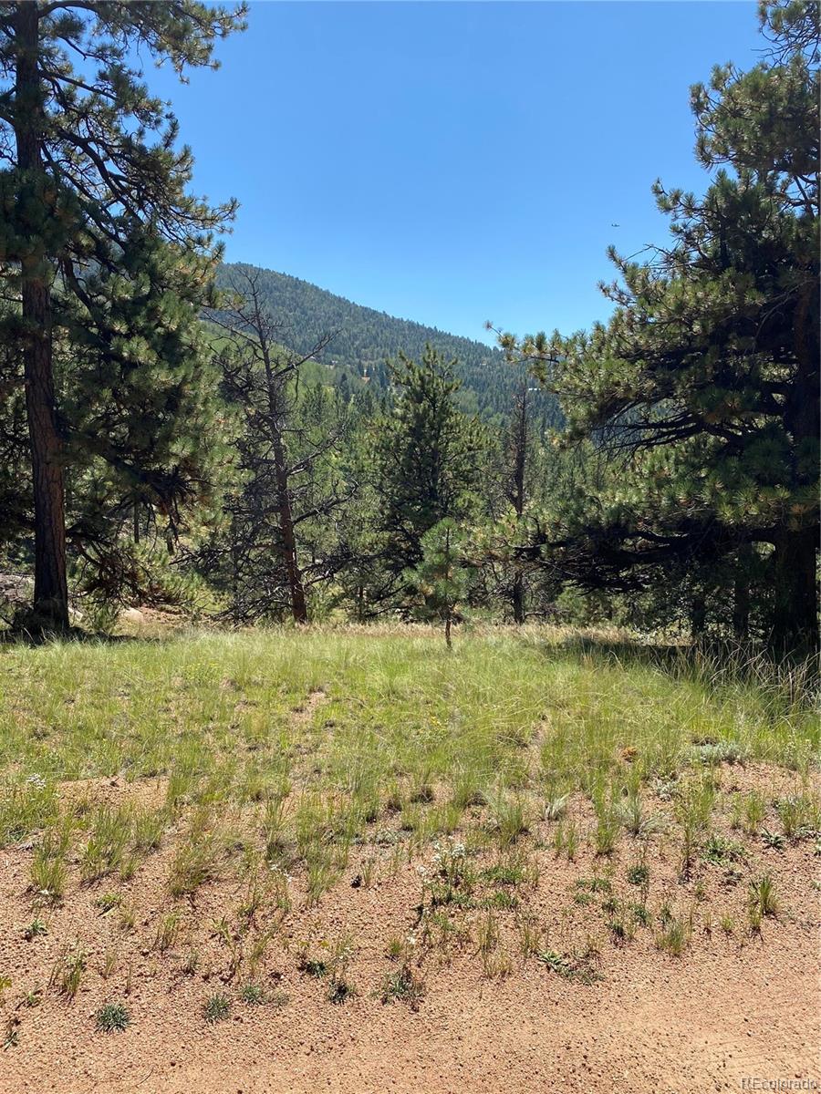 452 Wilson Drive Florissant CO 80816