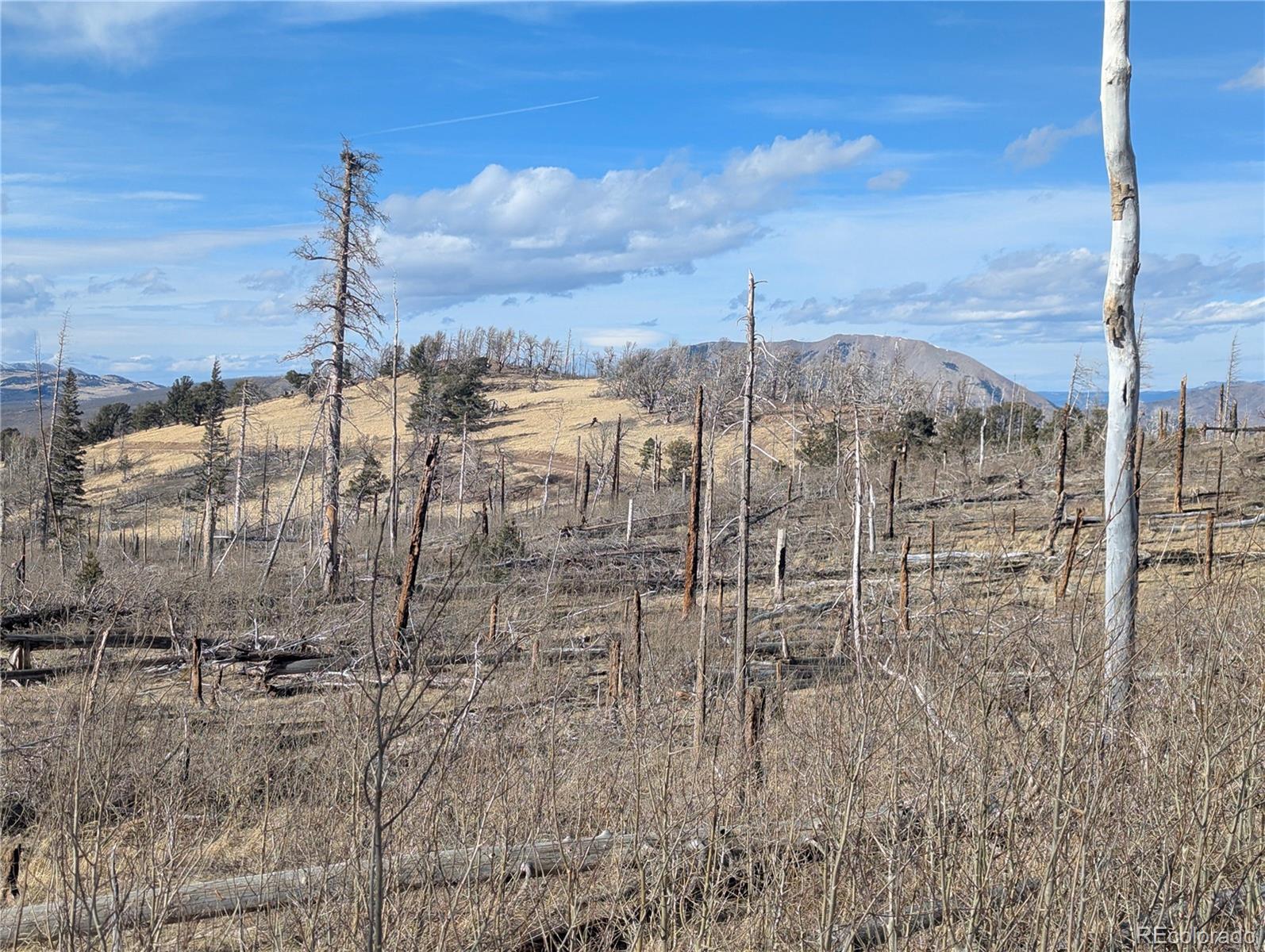 2553 Fine Place Fort Garland CO 81133