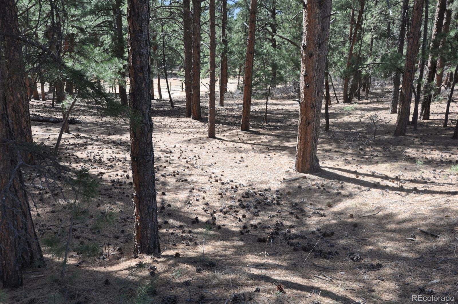 Wood Sorrel Road Larkspur CO 80118