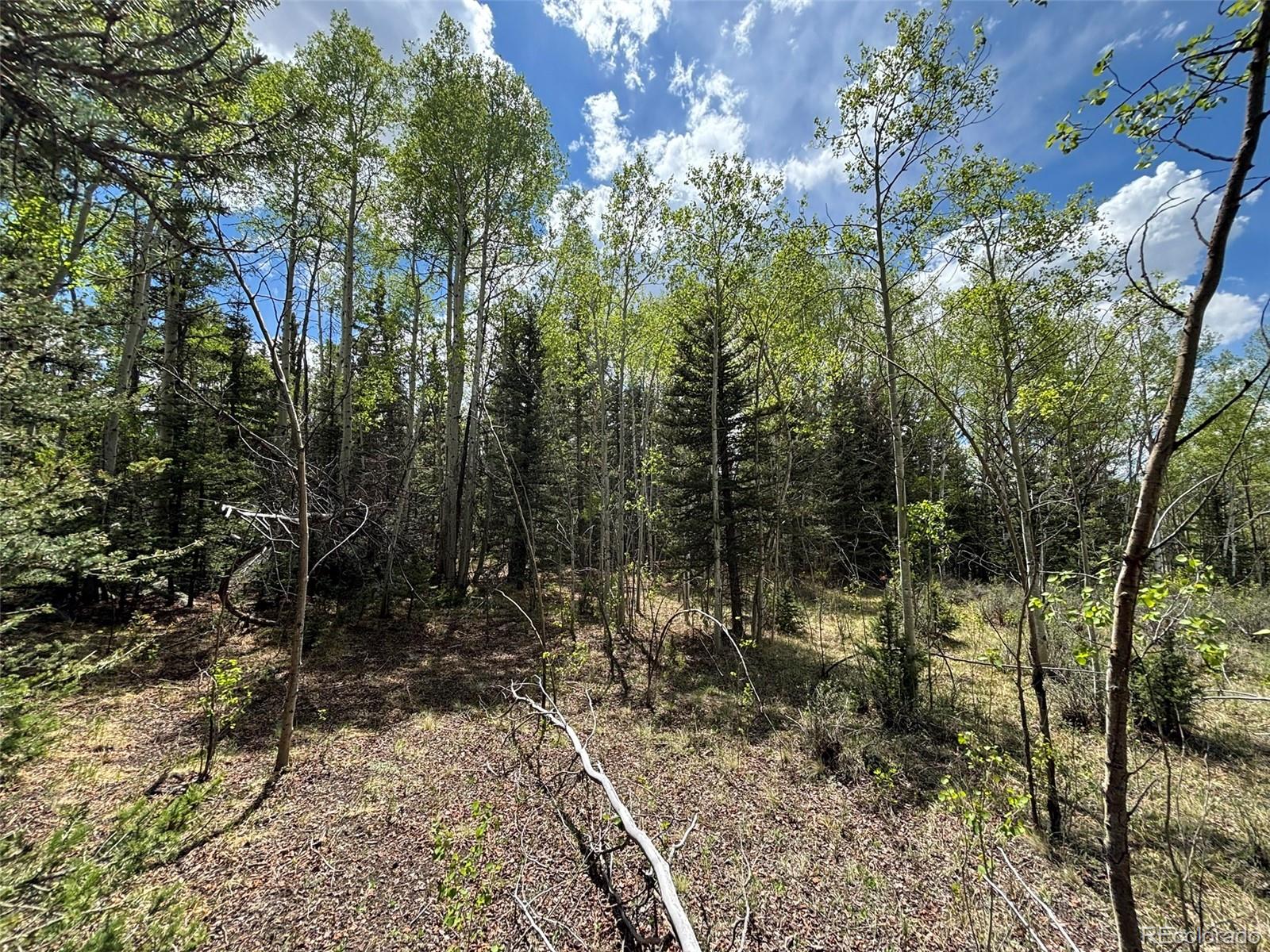 113 Ithaca Lane Como CO 80432