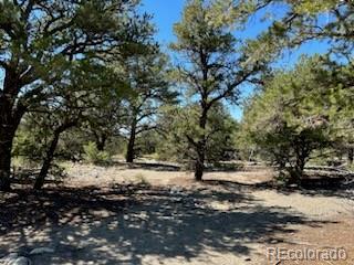 15 Mill Run Road Mosca CO 81146