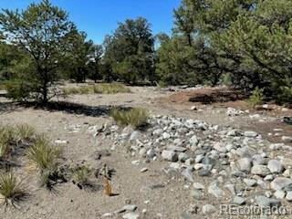 15 Mill Run Road Mosca CO 81146