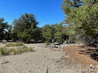 15 Mill Run Road Mosca CO 81146