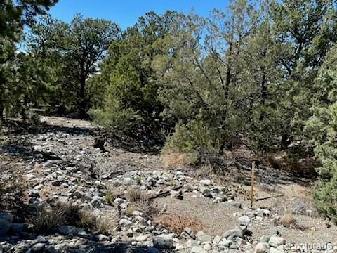 15 Mill Run Road Mosca CO 81146