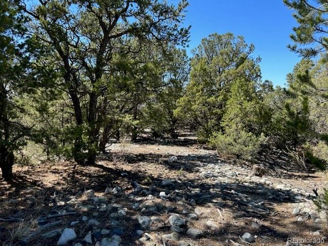 15 Mill Run Road Mosca CO 81146