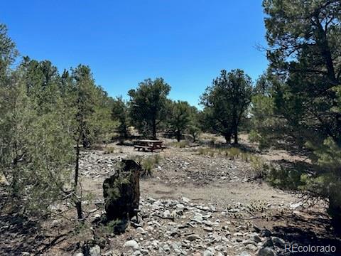 15 Mill Run Road Mosca CO 81146