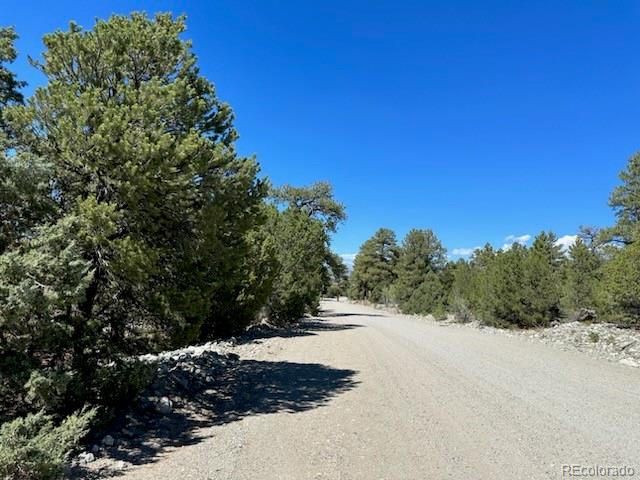 15 Mill Run Road Mosca CO 81146