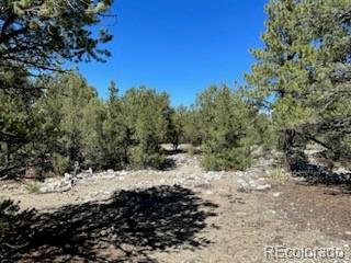 15 Mill Run Road Mosca CO 81146