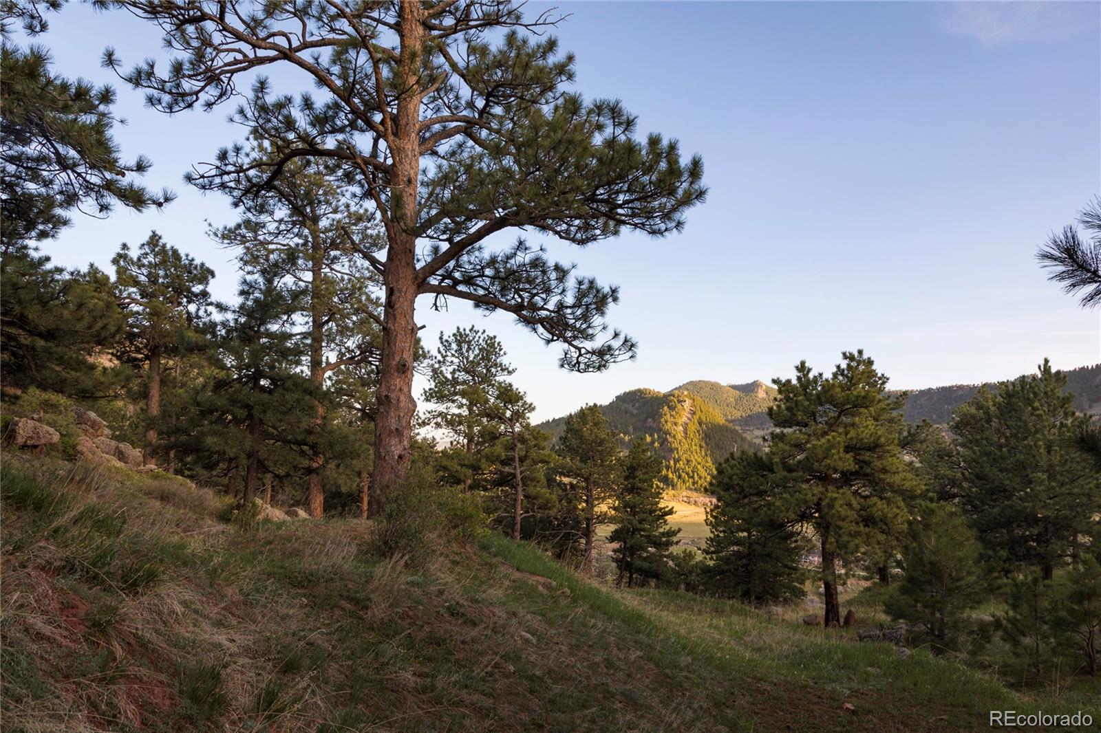 64 Canyon Pines Drive Arvada CO 80403