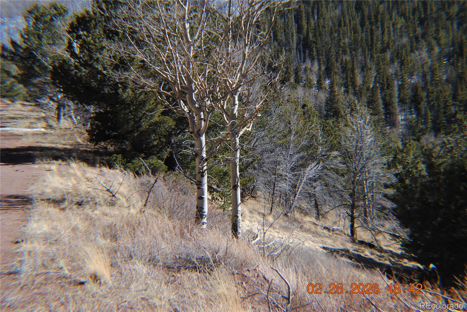 2734 Newman Fort Garland CO 81133