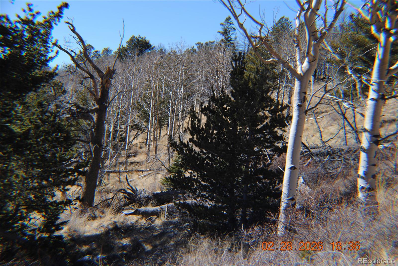 2734 Newman Fort Garland CO 81133