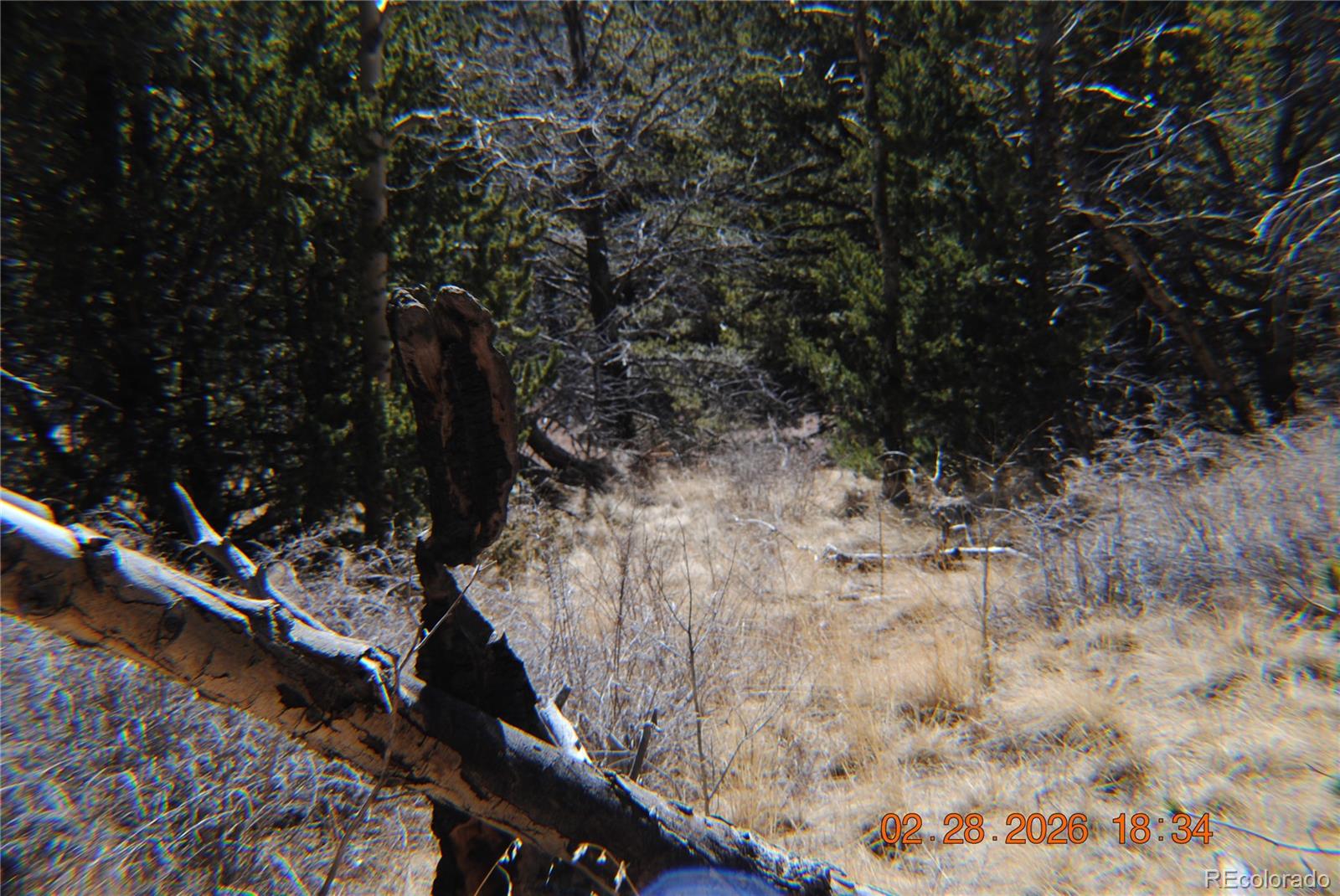 2734 Newman Fort Garland CO 81133