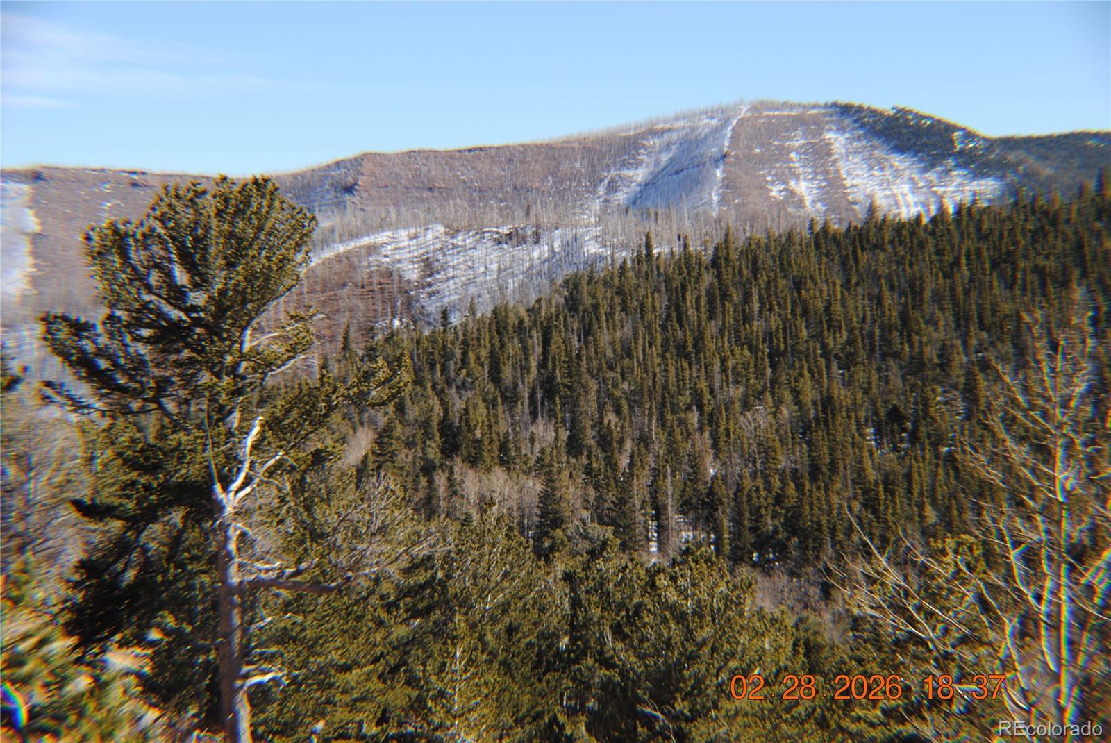 2734 Newman Fort Garland CO 81133