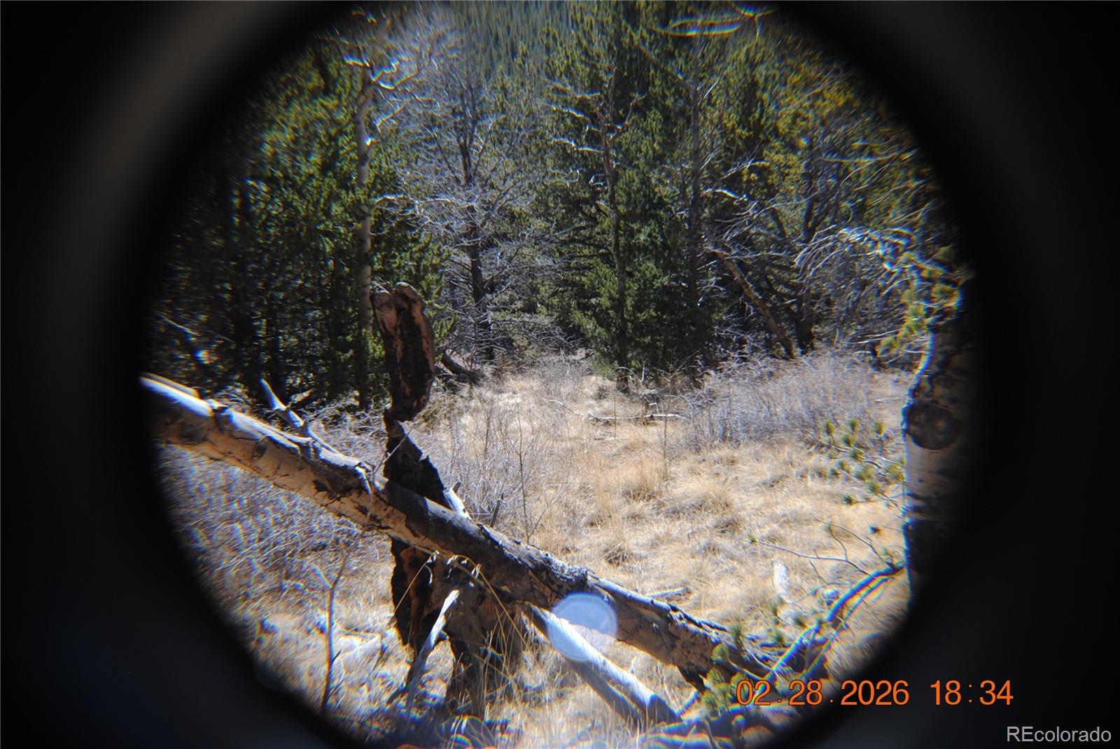 2734 Newman Fort Garland CO 81133