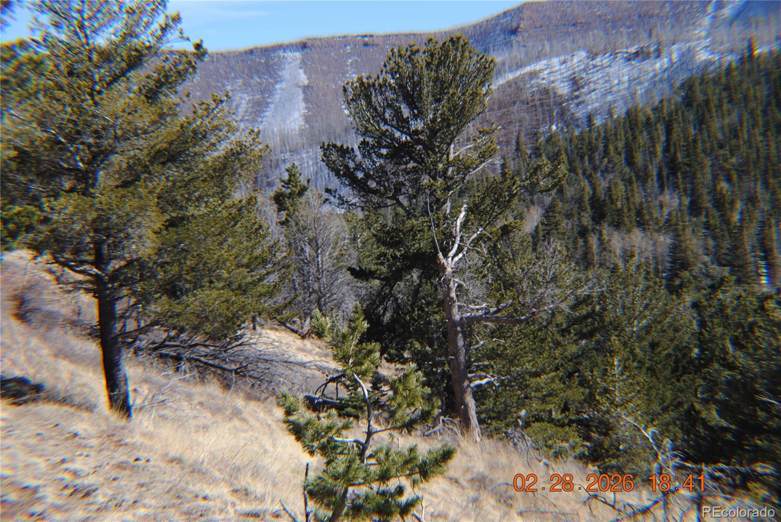 2734 Newman Fort Garland CO 81133