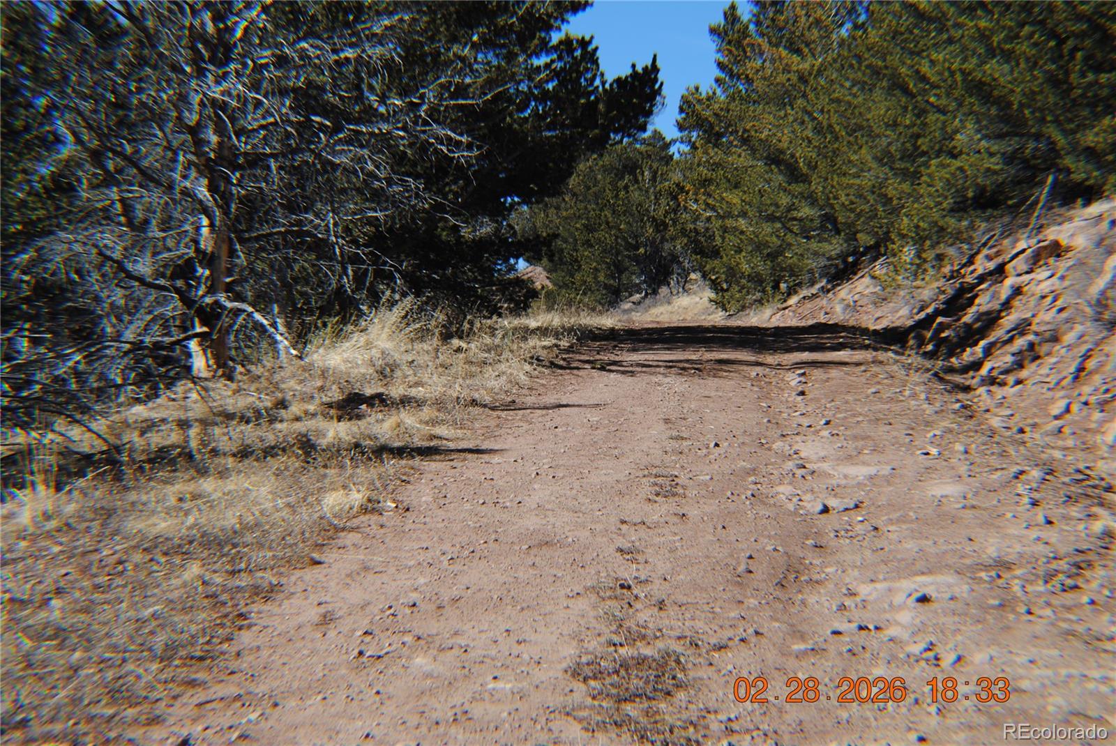 2734 Newman Fort Garland CO 81133