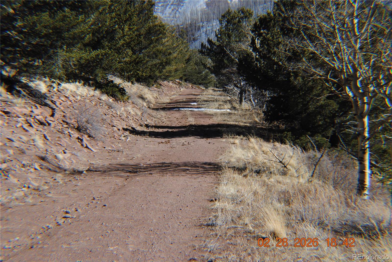 2734 Newman Fort Garland CO 81133