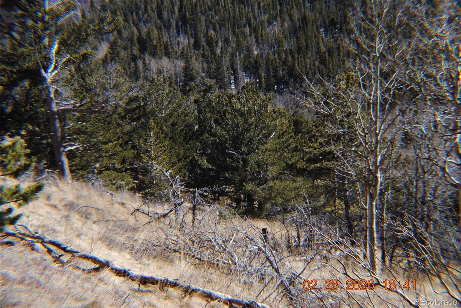 2734 Newman Fort Garland CO 81133