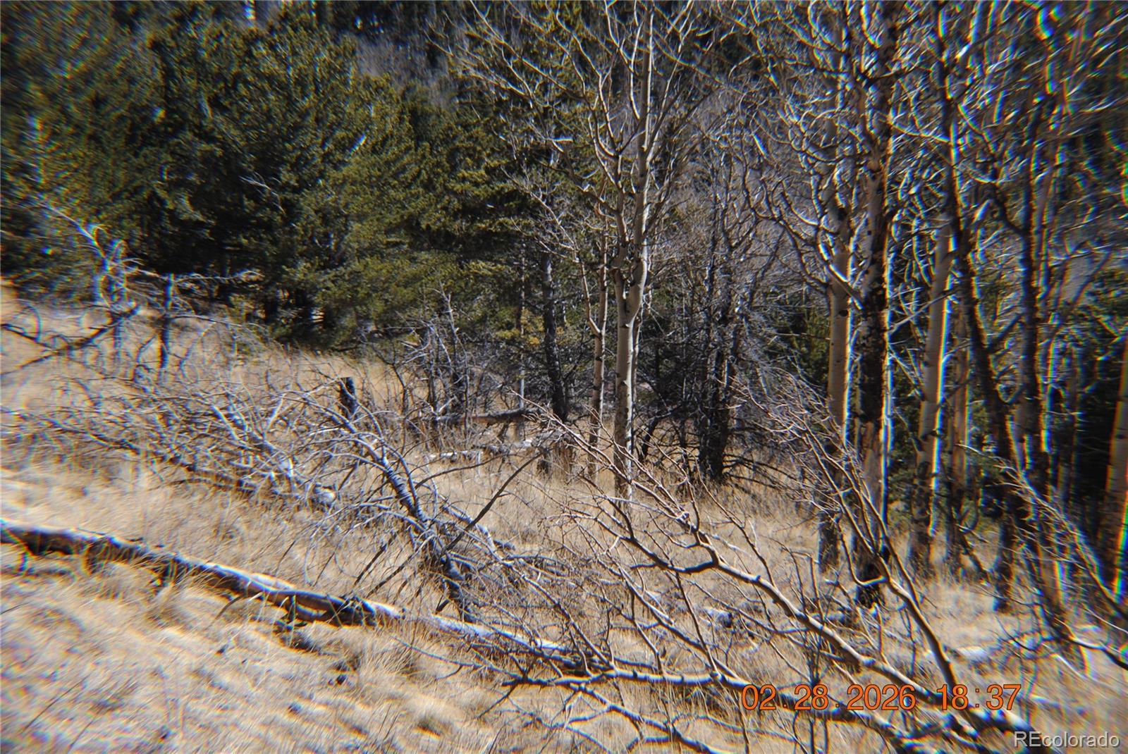 2734 Newman Fort Garland CO 81133