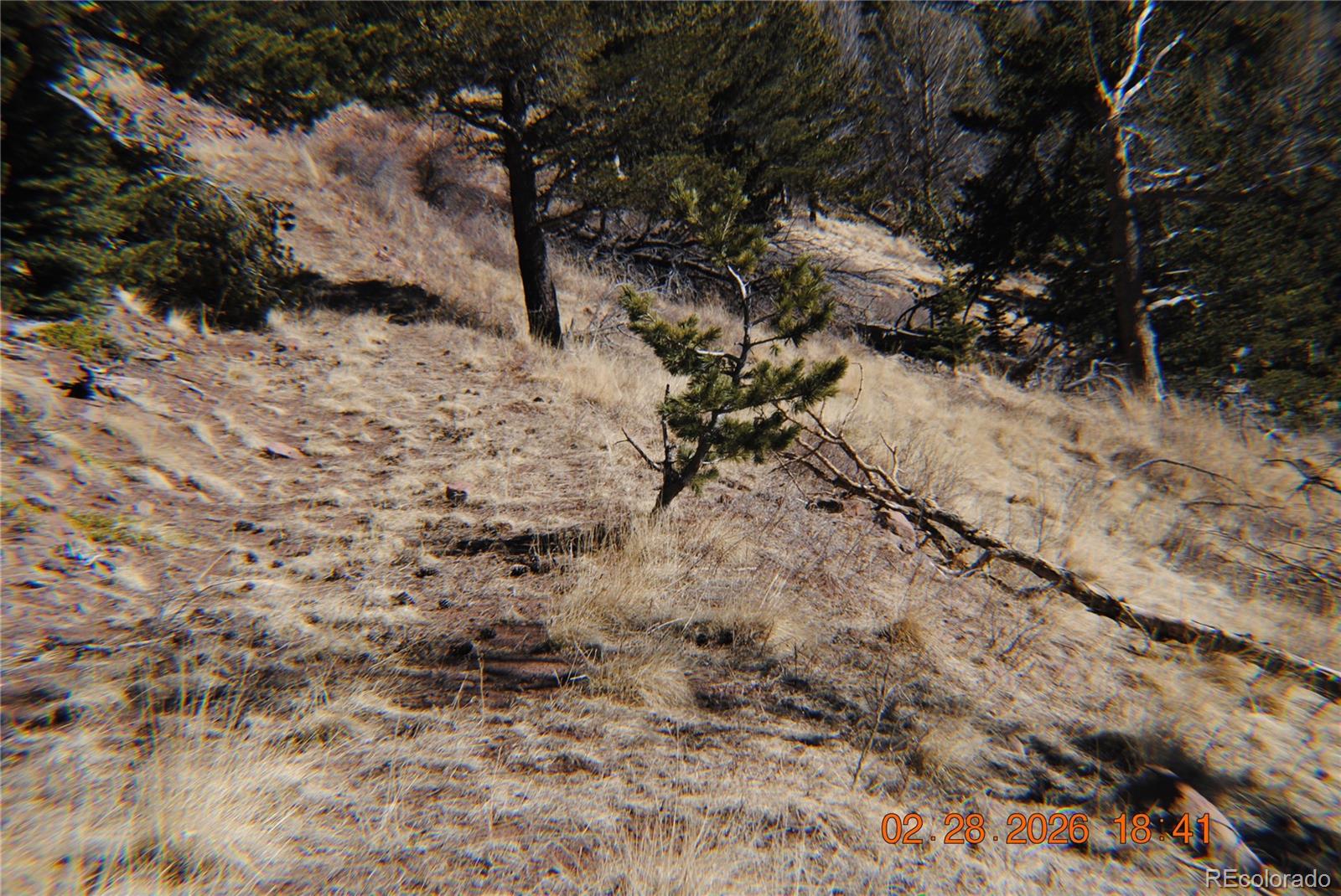 2734 Newman Fort Garland CO 81133