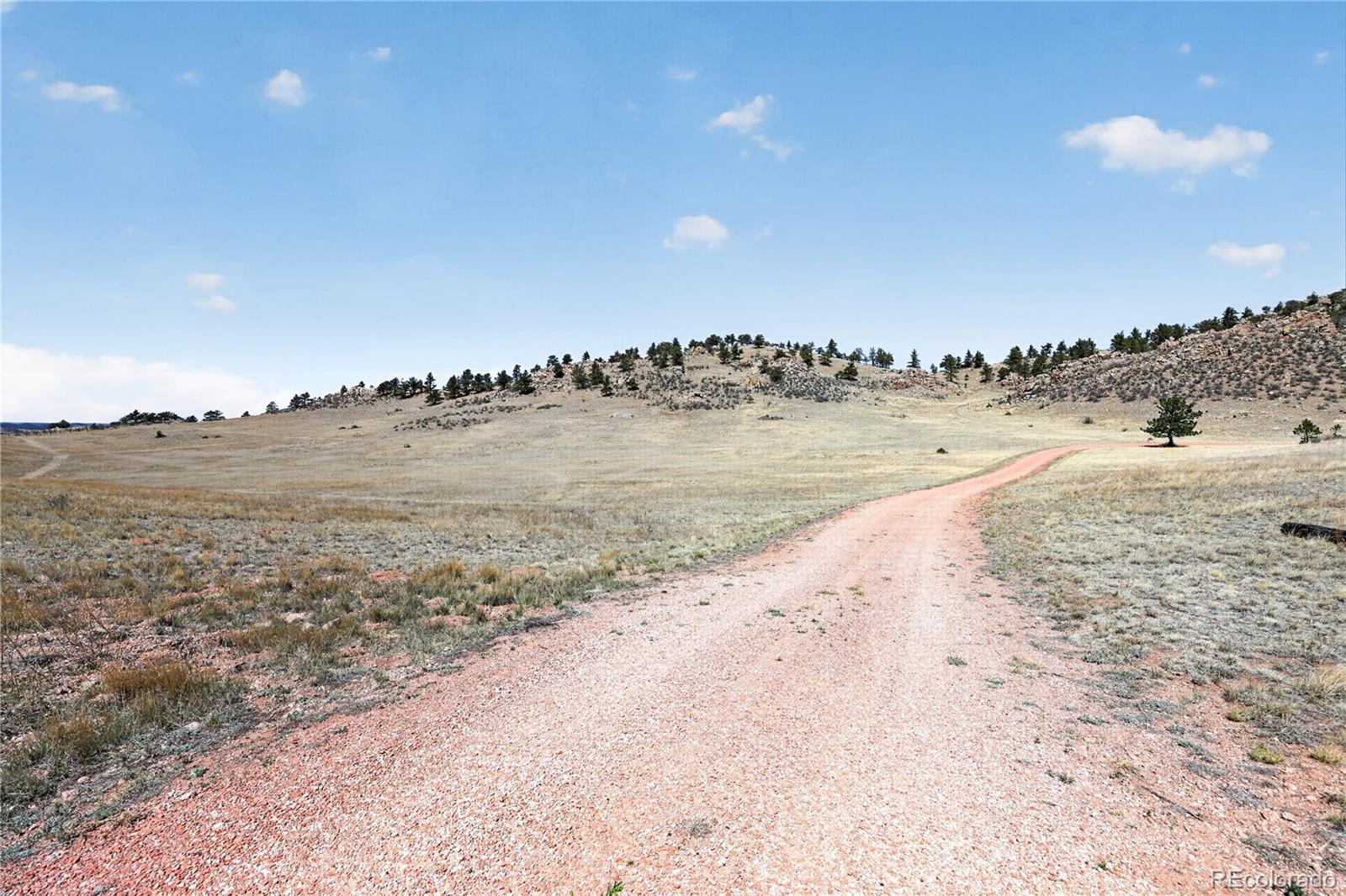 1209 Linecamp Drive Livermore CO 80536