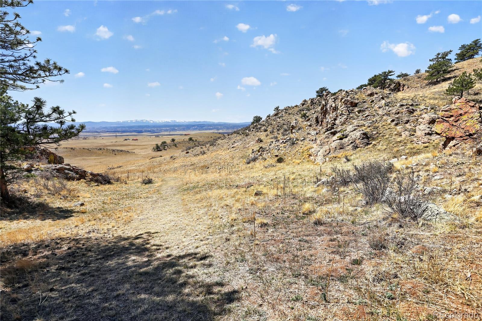 1209 Linecamp Drive Livermore CO 80536