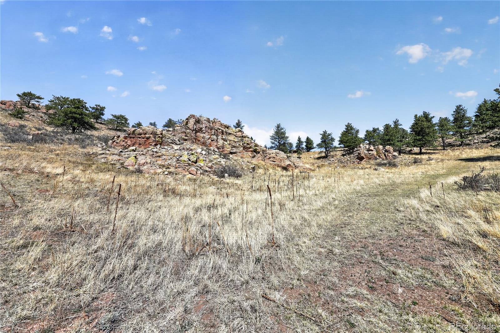 1209 Linecamp Drive Livermore CO 80536