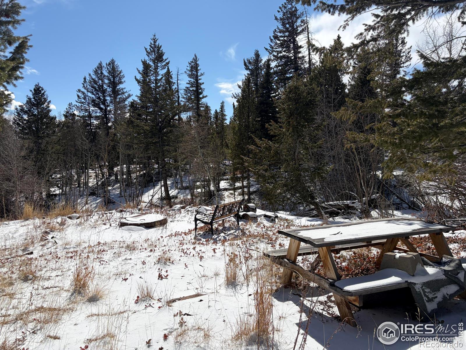 115 Wenro Court Red Feather Lakes CO 80545